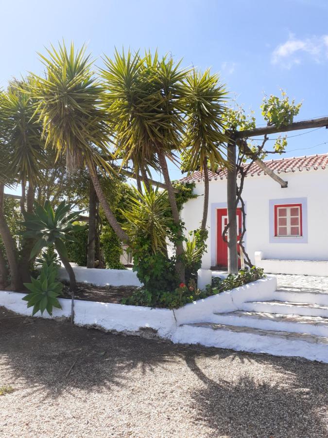 São Bartolomeu da Serra Monte Da Casa Branca By Hi Alentejoヴィラ エクステリア 写真